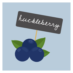 Vector Fruit - Huckleberry - 177902371