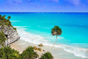 Tulum turquoise beach  palm tree in Riviera Maya at Mayan