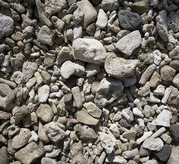 Riviera Maya coral reef on beach sand Mexico