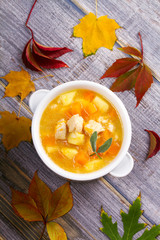 Chicken, butternut, apple ginger and sage stew. Pumpkin and chicken breast soup. View from above, top shot, vertical