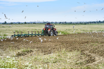 Obraz premium A farmer on a tractor plowing the land, surrounded by birds