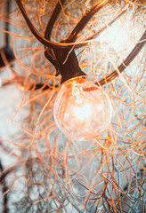 Fototapeta na wymiar Light bulbs for decorated on christmas eve. 