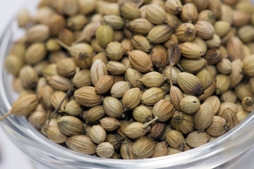 A close-up view of a glass bowl filled with whole coriander seeds, highlighting their rich texture and warm golden-brown color. The seeds are commonly used in Indian, Asian, and Middle Eastern cuisine