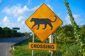 Road sign panther Jaguar crossing mexico © lunamarina