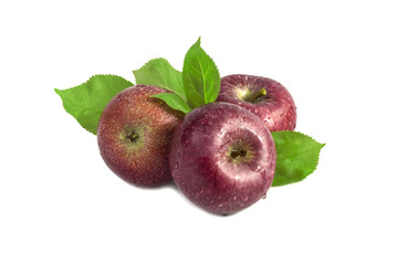 three large ripe rural apple