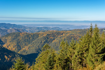 Autumn landscape - Black Forest. Panoramic view over the autumnal Black Forest, the Rhine valley and the Vosges (France) in the distance.