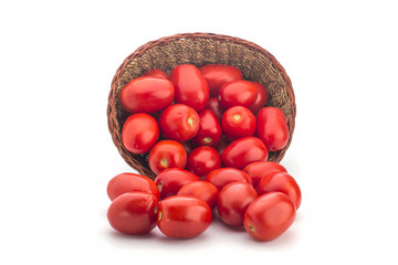 Basket with tomatoes