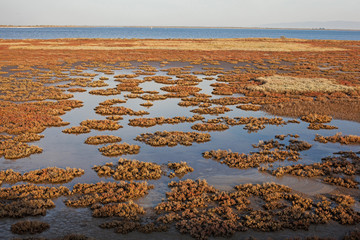 Landscape of Evros river in Greece.