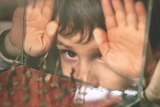 Child looking a showcase with the tin soldiers of his grandfather.