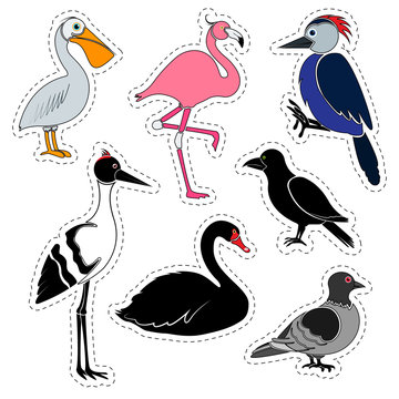 Set of stickers. Different birds isolated on white background.