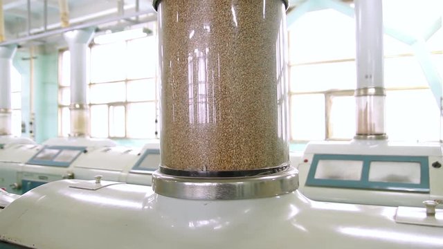 Flour mill. Manufacture of flour and cereals. Wheat milling. Production of wheat flour. Wheat flour milling equipment at the plant. Grain equipment.