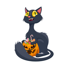Halloween. funny black cat and pumpkin with sweets