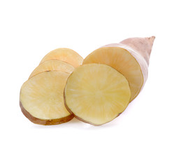 smallanthus sonchifolius isolated on white background