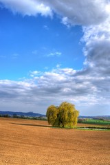 Fototapeta premium Herbstlandschaft Acker