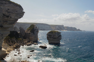 Bonifacio