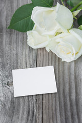 Three white rose and white paper card