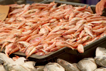 vente de poissons