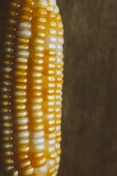 Details of a single corn shot from above.