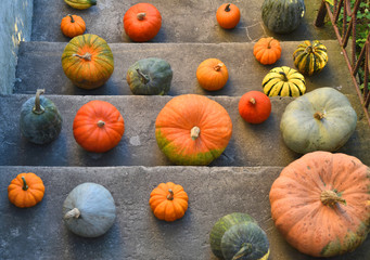 Pumpkins on the old outdoor stairs