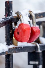 Red love locks in snow