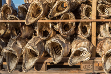 Dried fish heads from cod stacked on a pallet