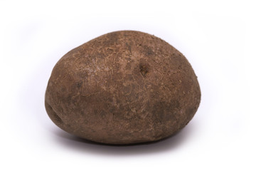 Potato