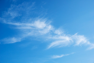 Beautiful white fluffy clouds in the blue sky in bright day.