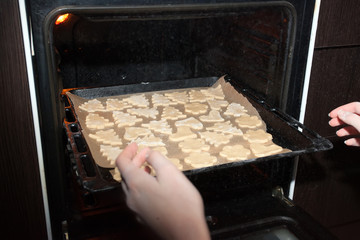 Christmas Cookies for children
