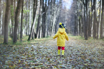 Children are walking in the autumn park 