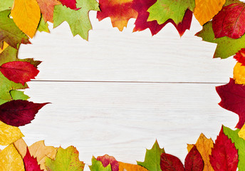 Naklejka na ściany i meble Autumn leaf on wood white background (top view)