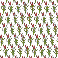 background pattern with reeds vector illustration (bulrushes and grass)