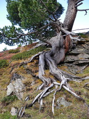 Schweiz Graub&uuml;nden Fluelapass 5