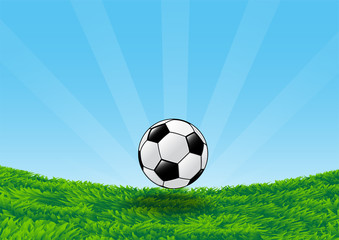 Fototapeta premium Soccer Ball on Grass Field with blue sky-Vector Illustration