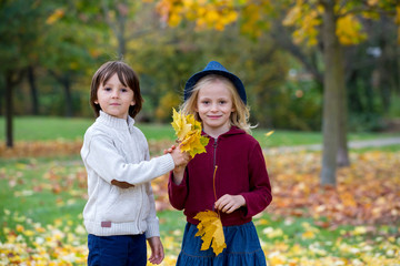 Beautiful boy and girl in a park, boy giving flowers to the girl