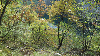 amazing landscape at the plitvice lakes in croatia