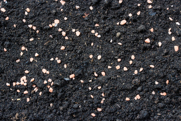 Soil is complete with fertilizer.