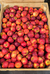 pommes en vrac