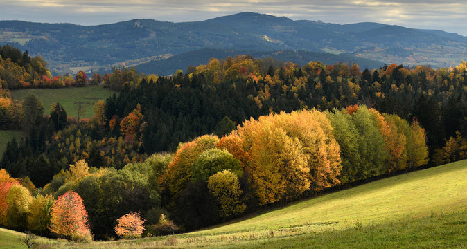 Soft Light Spot On Gentle Rolling Hills With Trees In Vivid Autumn Colours, Sumava, Böhmerwald, Hrad Kasperk, Kasperske Hory