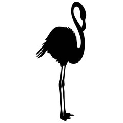 Fototapeta premium Flamingo silhouette, vector, illustration