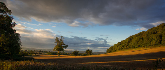 The warm golden light of sunset illuminates a field in rural England