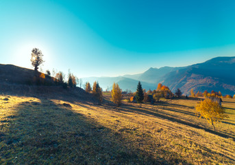 Fototapeta premium highland vegetation modest summer and unusually beautiful colors blooms in autumn, before cold weather. Blueberries bright red, coniferous forest green, orange buk- mountains sinie- fantastic charm.