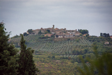 Fototapeta na wymiar Classic hill town scene in Umbria, Italy. Fields of olive trees in the foreground