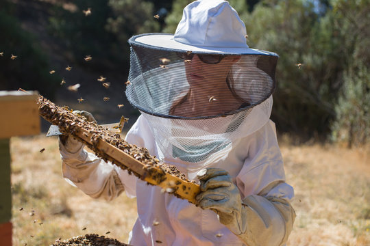 Female Beekeeper