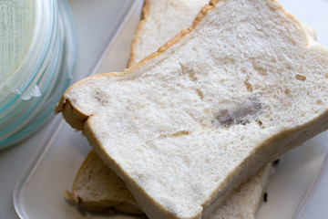Yeasts and bread in Petri dishes and medicine for education in laboratories.
