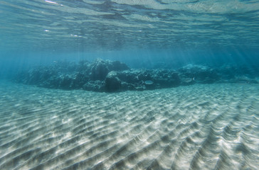 Unterwasserwelt mit Felsenriff