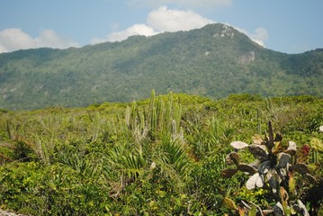 Nature and rock