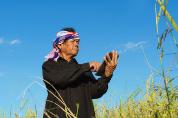 Senior farmer standing in a rice field with a tablet