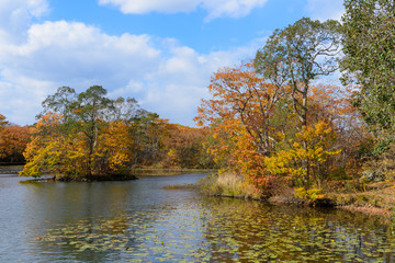 北海道　大沼国定公園の紅葉