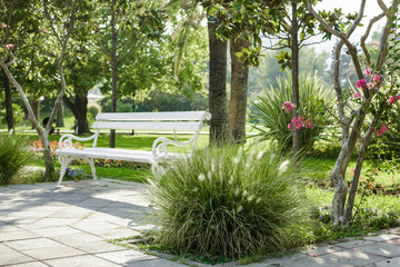 white bench in a beautiful green park 