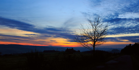 Obraz na płótnie Canvas Sunset under the tree.